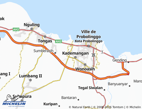 MICHELIN-Landkarte Triwung Kidul - ViaMichelin