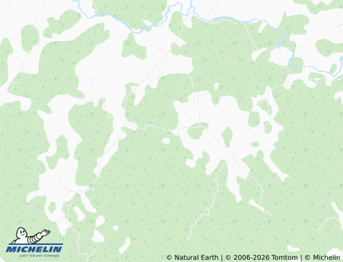 Mapa MICHELIN Naranjo Viejo - ViaMichelin