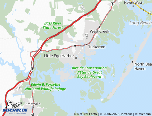 Mappa MICHELIN Little Egg Harbor - ViaMichelin