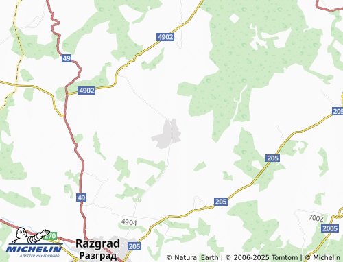 MICHELIN Dyankovo map - ViaMichelin