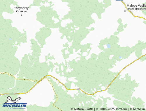 MICHELIN Zavidovo map - ViaMichelin