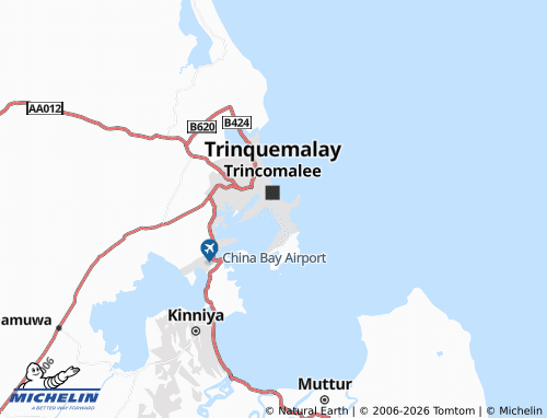 Mapa MICHELIN Thillainagar - ViaMichelin