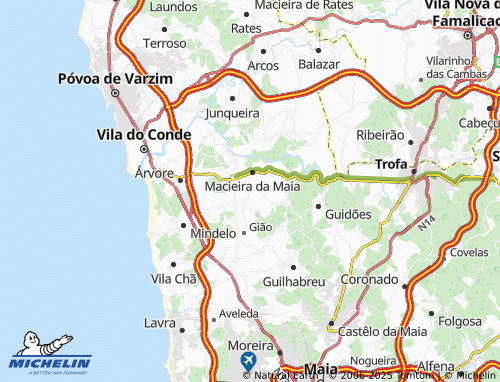 MICHELIN Vairão map - ViaMichelin