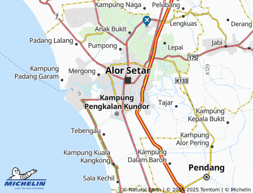 MICHELIN Taman Sejati map - ViaMichelin