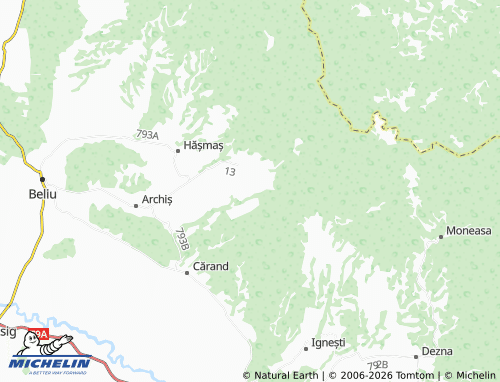 Mapa MICHELIN Bârzești - ViaMichelin