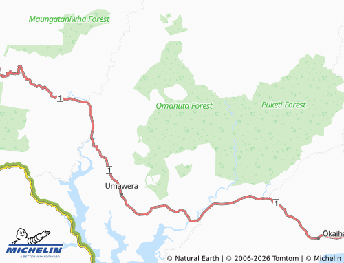 Mapa MICHELIN Omahuta Forest - ViaMichelin