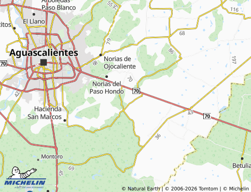 Kaart MICHELIN Los Ruelas - ViaMichelin