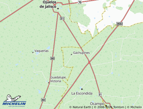 Mapa MICHELIN Gachupines - ViaMichelin