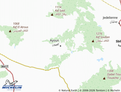 Mappa MICHELIN al-Oyoun - ViaMichelin