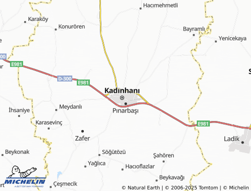 MICHELIN Kayabaşı map - ViaMichelin
