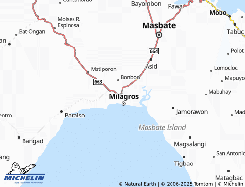 MICHELIN Bacolod map - ViaMichelin