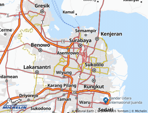 Carte MICHELIN Petemon - ViaMichelin
