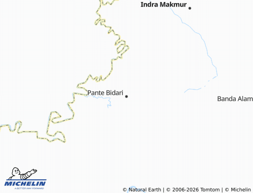 MICHELIN Pante Bidari map - ViaMichelin