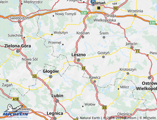 Carte MICHELIN Leszczyński - ViaMichelin