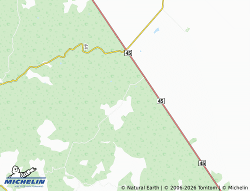 Mapa MICHELIN Román Arreola - ViaMichelin
