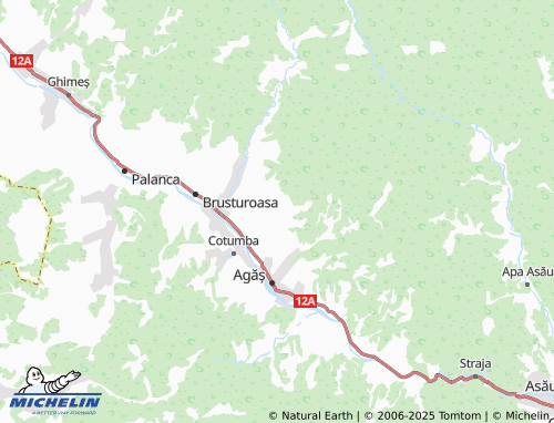 MICHELIN Buruieniș map - ViaMichelin