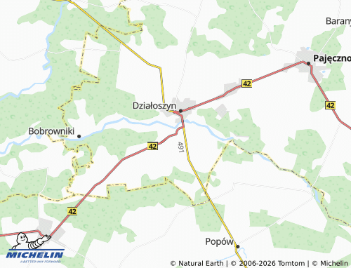 MICHELIN Raciszyn map - ViaMichelin